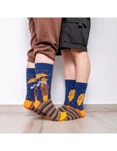 CALCETINES RAINBIRD,MUJER 36-40.