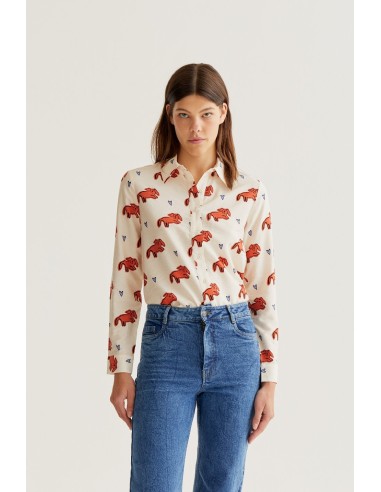 CAMISA CON ESTAMPADO TOCHI