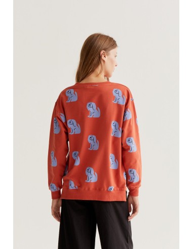 SUDADERA CON ESTAMPADO BROWN DOG