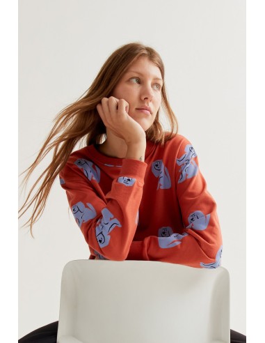 SUDADERA CON ESTAMPADO BROWN DOG