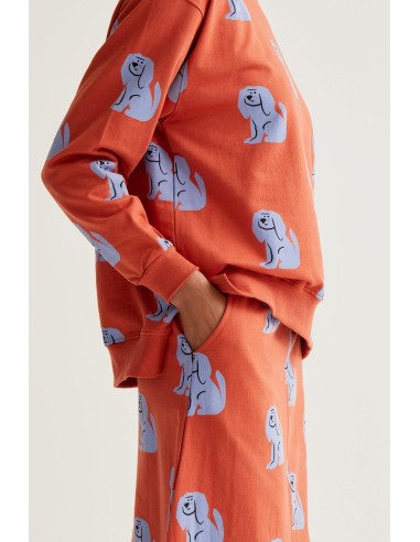 FALDA MIDI CON ESTAMPADO BROWN DOG