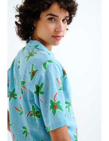 CAMISA CON ESTAMPADO COCOTERO SMALL.